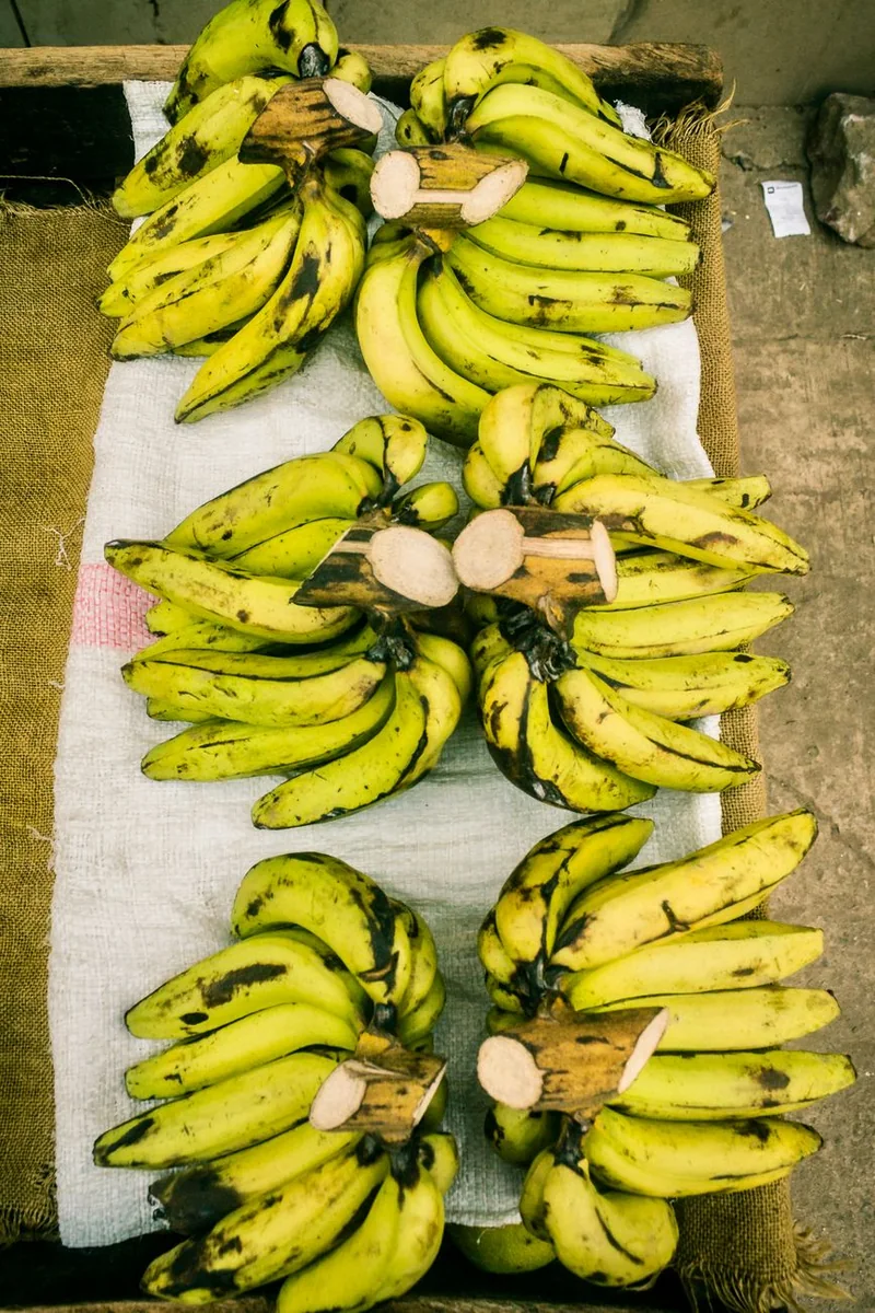 编辑台与索引卡，示意日韩影视网按频道、专题、片单与条目组织内容的四层结构